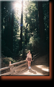 Chelle in the Redwood Forest.