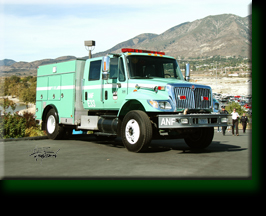 US Dept of Forestry