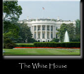 The White House
