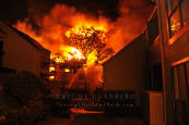 Houston Fire Action