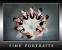 FINE PORTRAITS