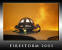 FIRESTORM 2003
